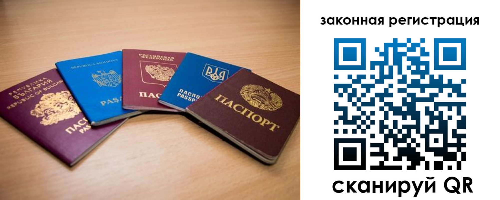 прописка в квартире в Палласовке